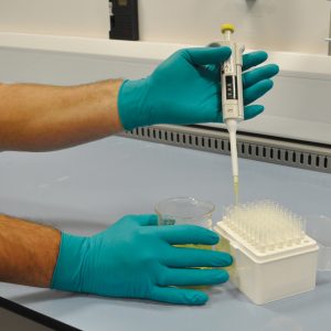Polyco Finite Medical FNG100 Gloves - Box of 100